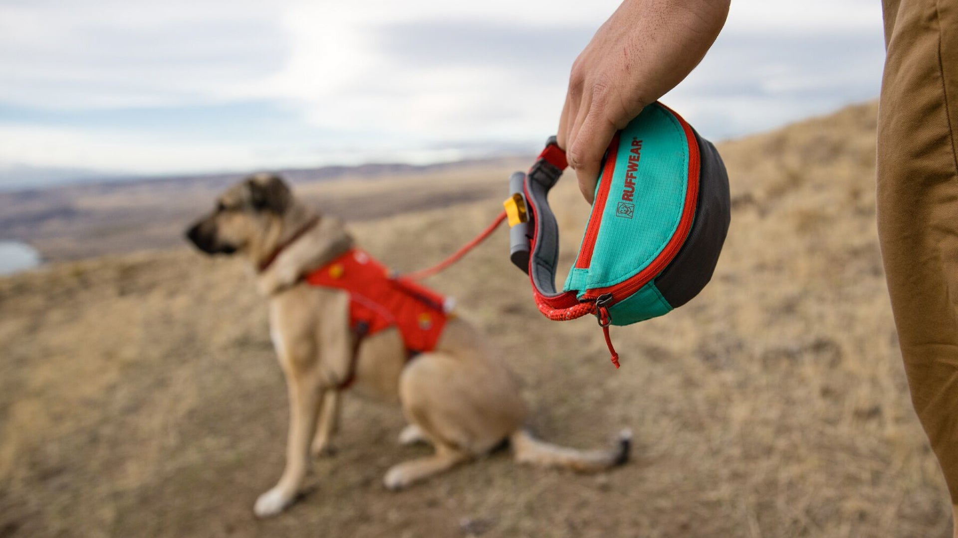 Hitch Hiker Dog Lead Ruffwear