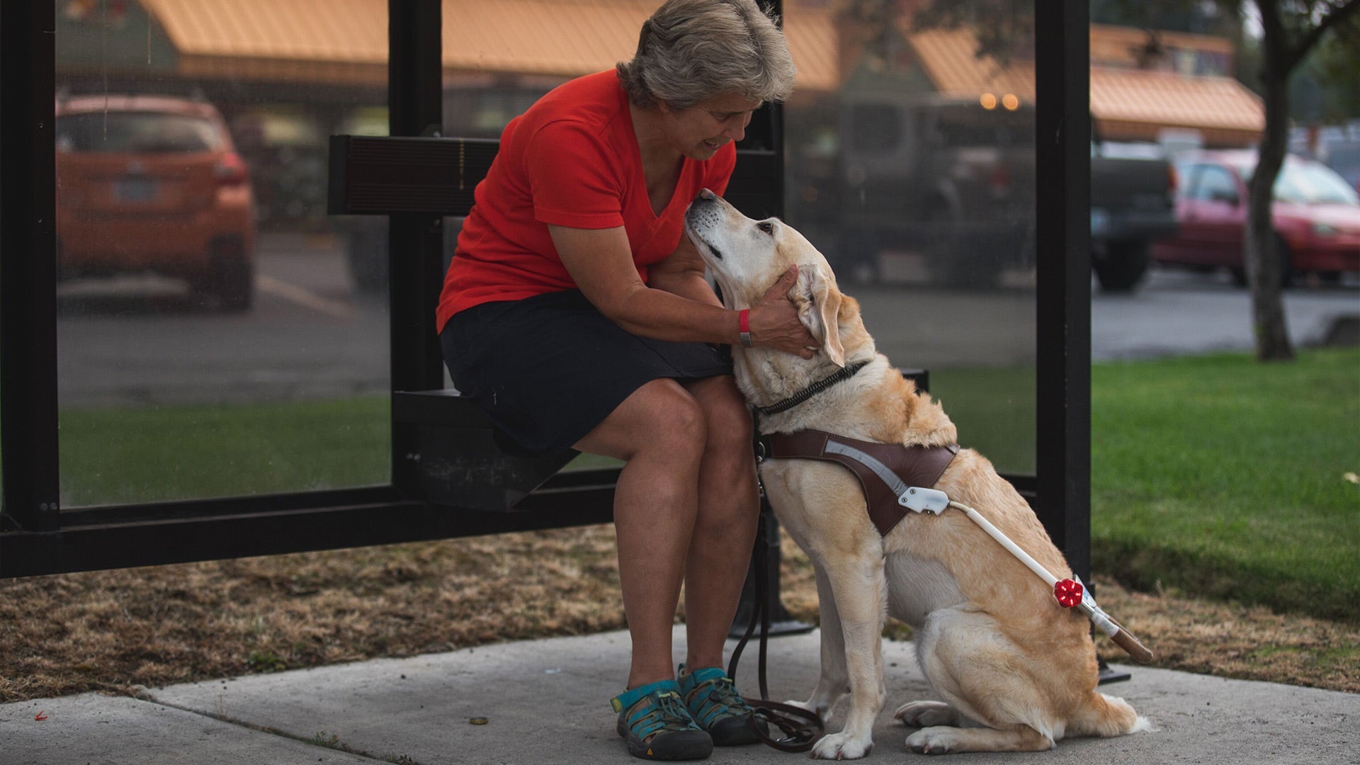 Audible Beacon Safety Light for Guide Dogs and the Blind Ruffwear