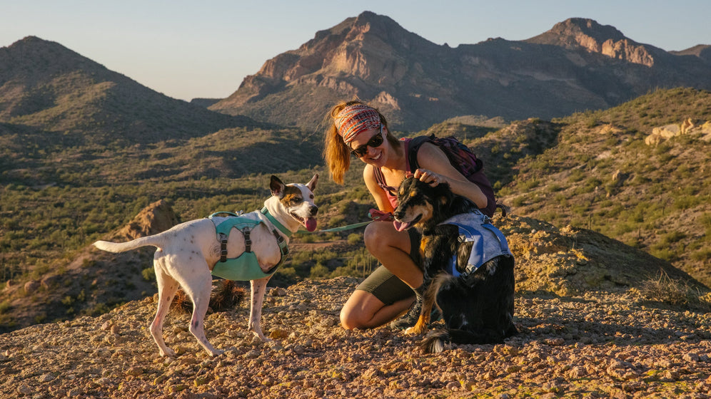 About the Swamp Cooler™ Harness Video Thumbnail