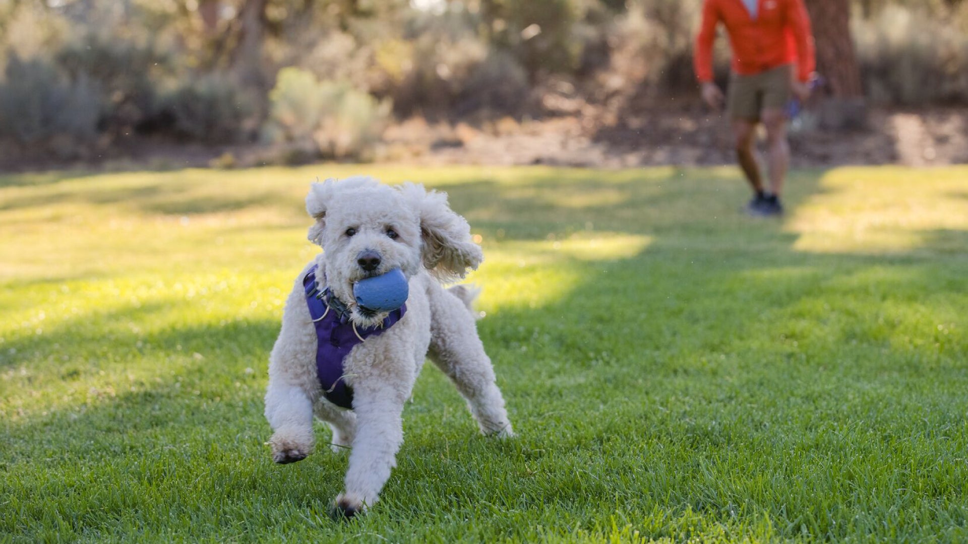 Huckama Rubber Dog Throw Toy Ruffwear