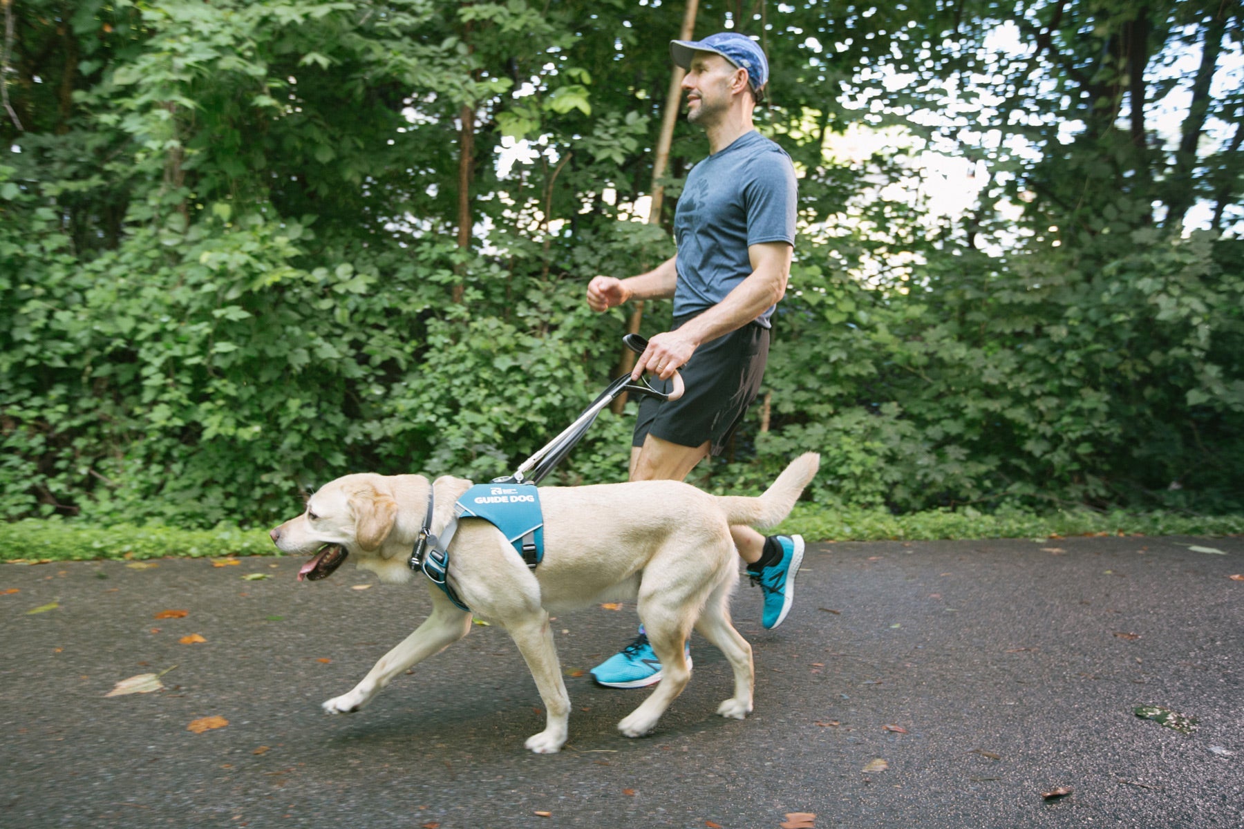 Ruffwear guide sale dog harness