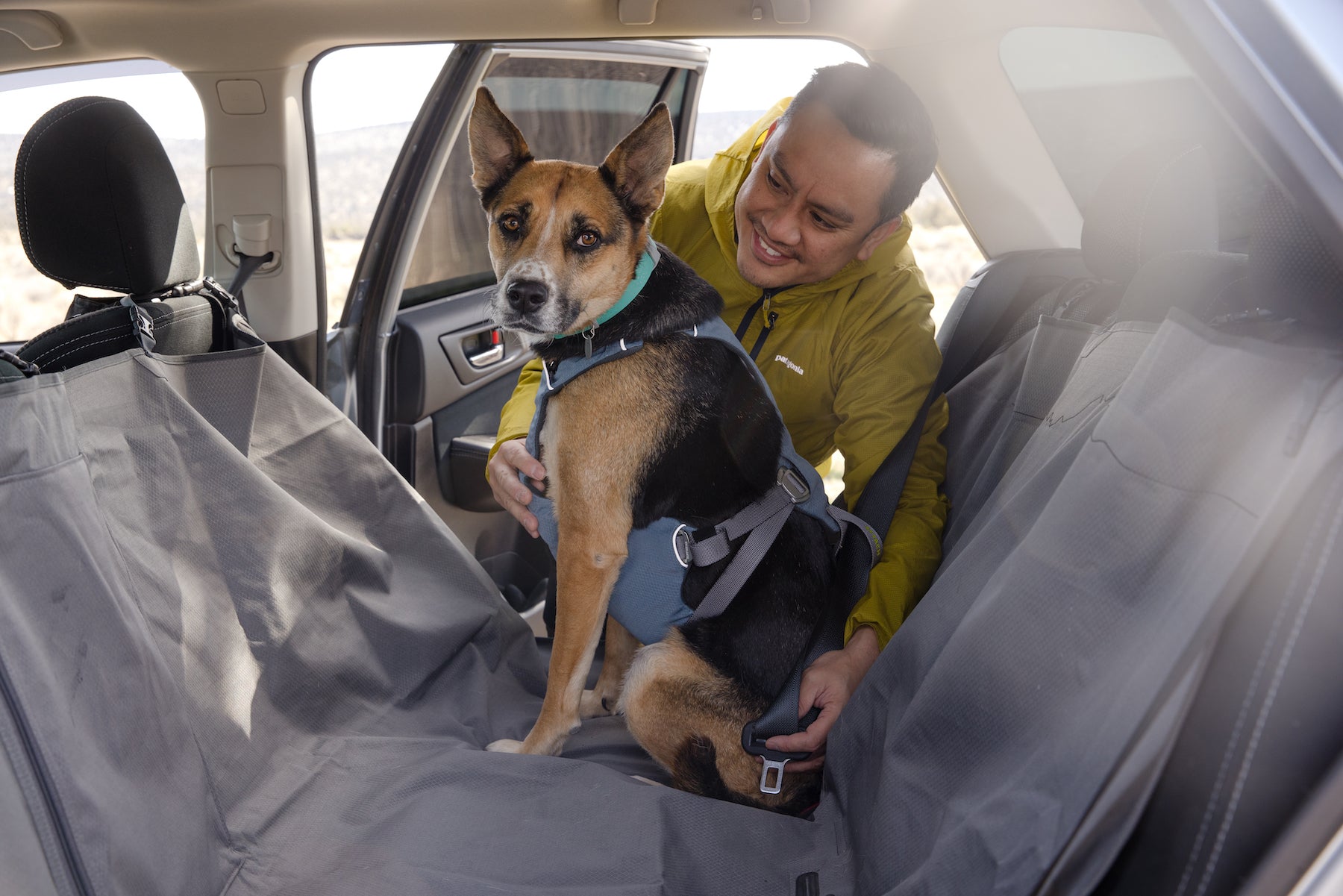 Ruffwear load 2025 up dog harness