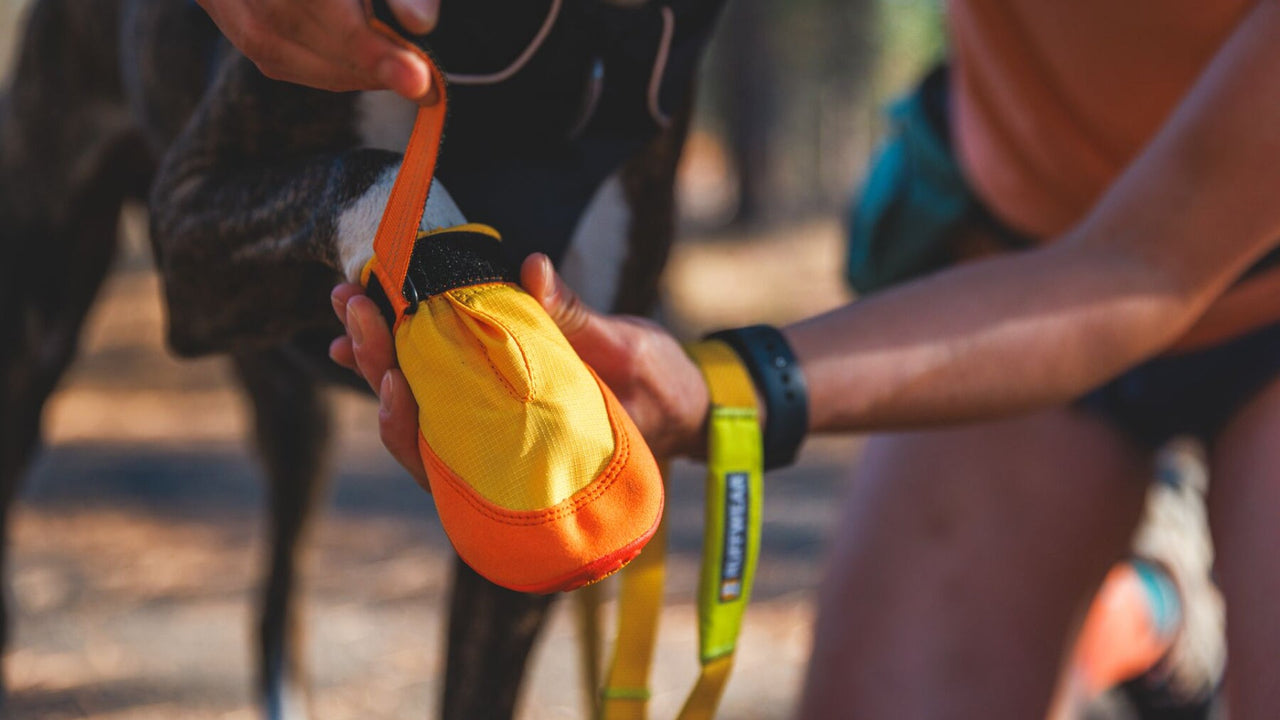 OPENS WIDE FOR EASY ON