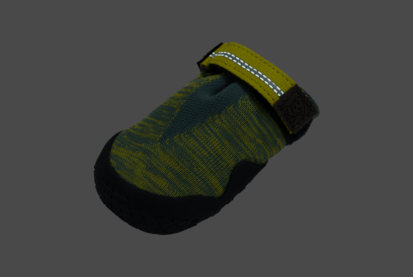 Light up top dog shoes