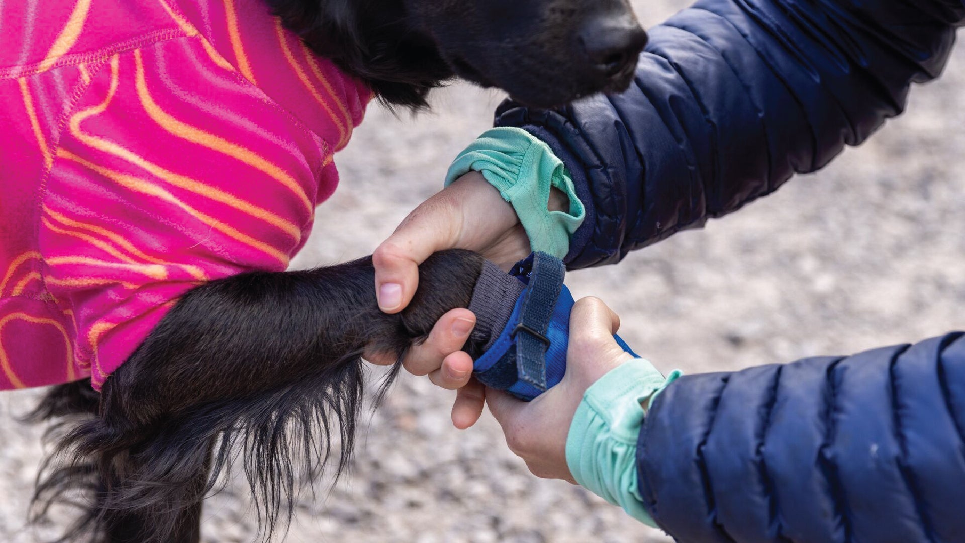 Hi Light Dog Shoes for the Trail Ruffwear