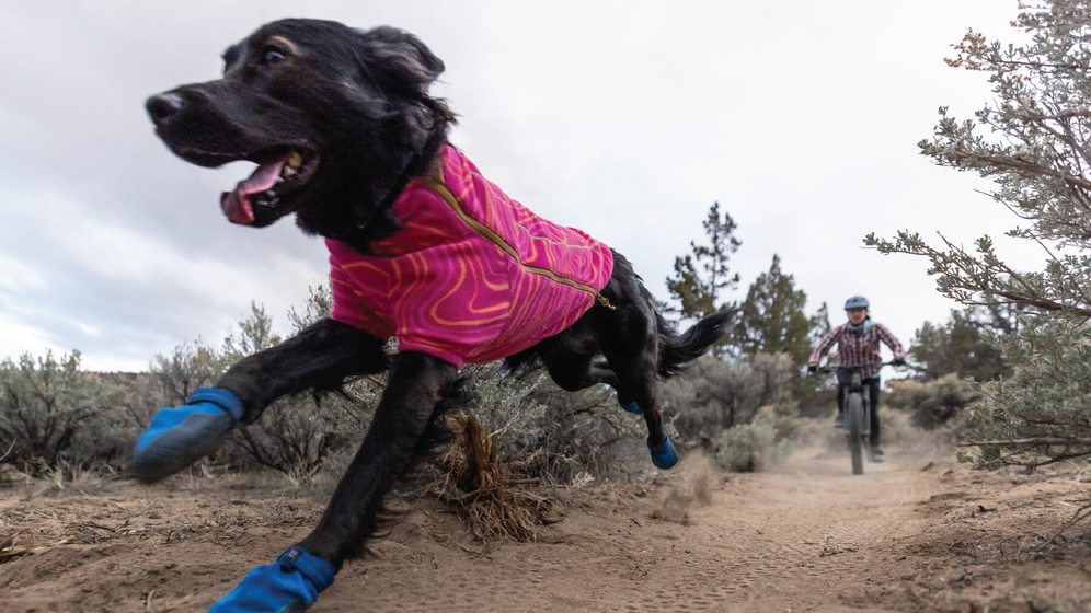 Hi Light Dog Shoes for the Trail Ruffwear