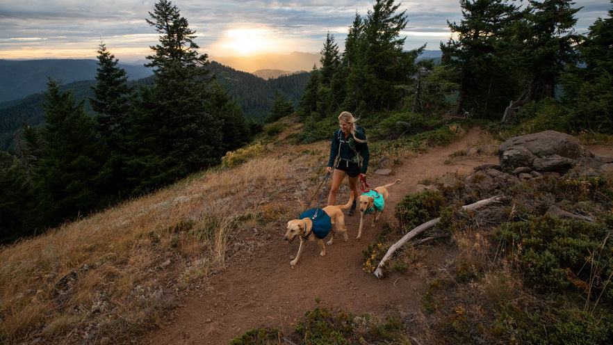 Choosing The Right Dog Pack For Your Next Adventure Ruffwear