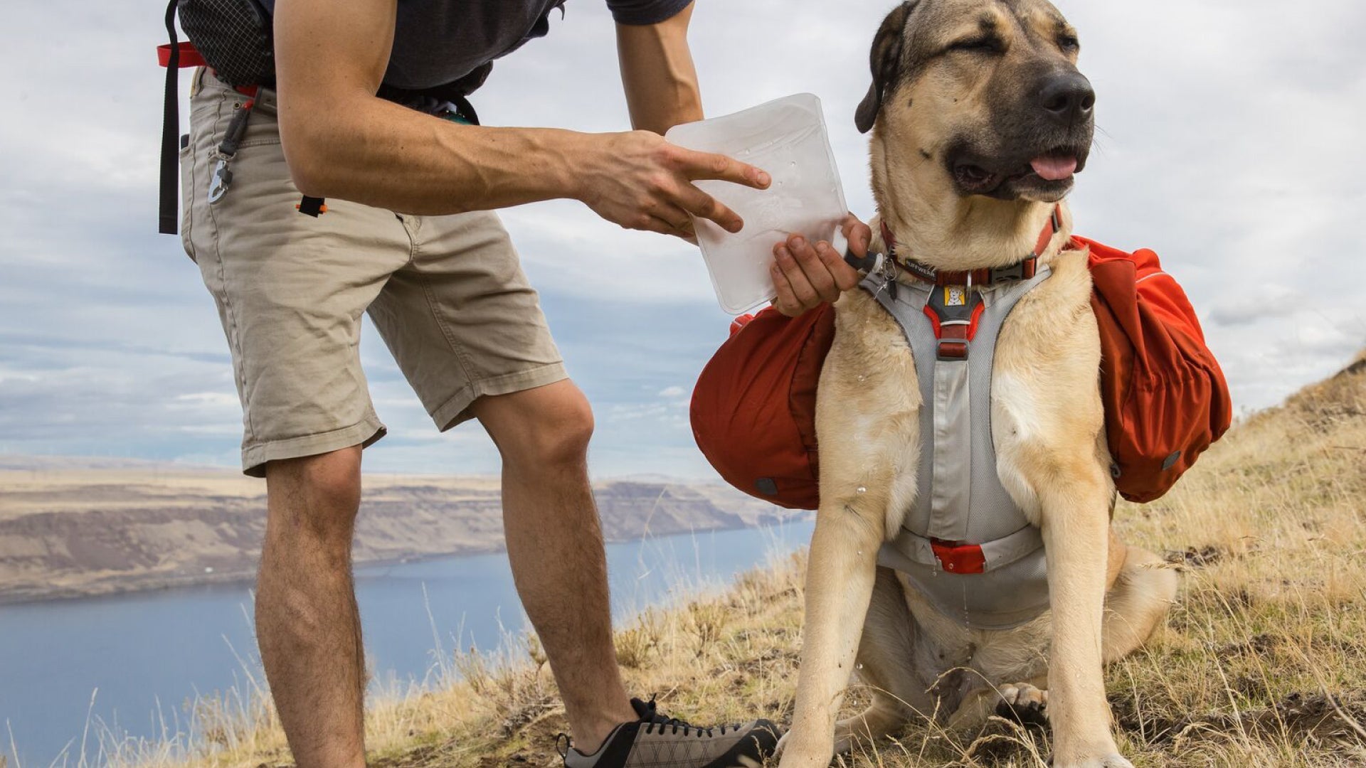 Ruffwear palisades clearance review