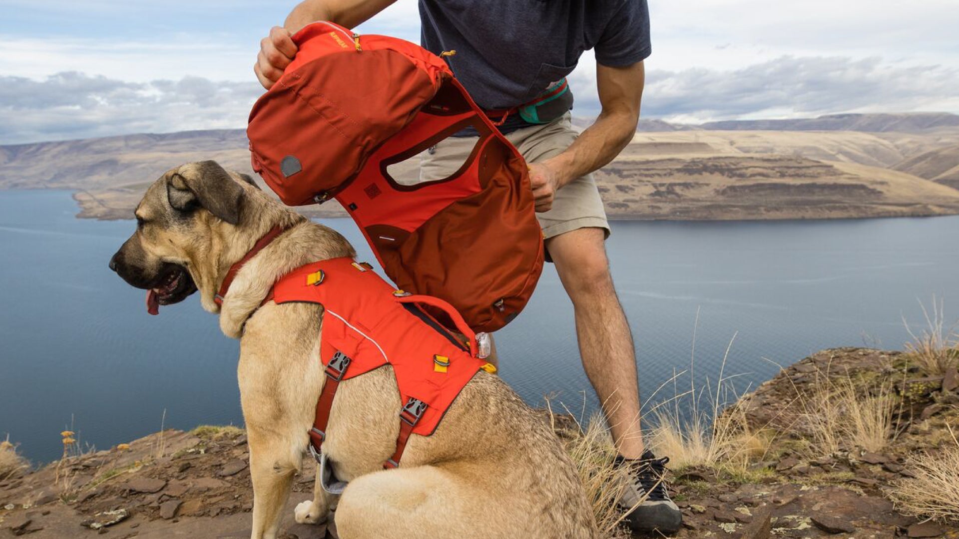 Dog 2024 hiking backpack