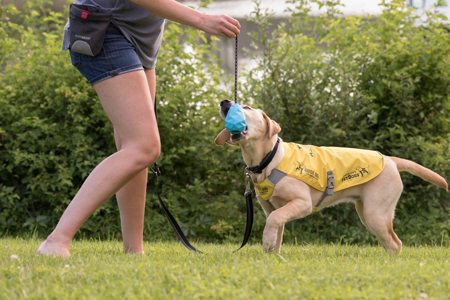 Ruffwear service dog outlet vest