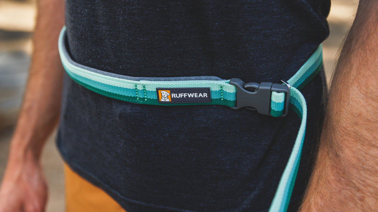 HAND-HELD OR HANDS-FREE