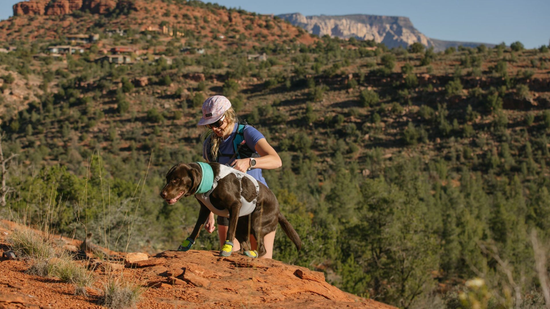 Ruffwear hiking outlet harness