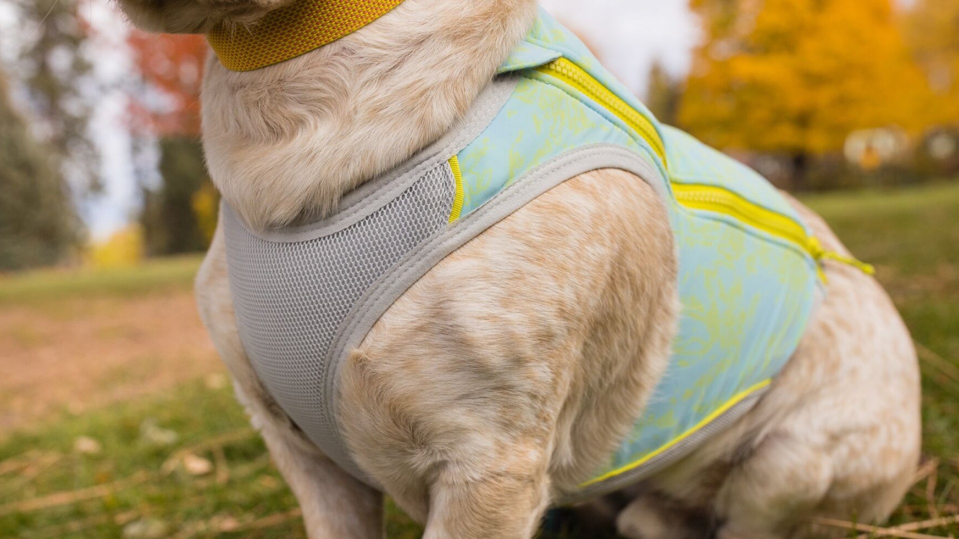 Swamp Cooler Zip™ Dog Cooling Vest | Ruffwear