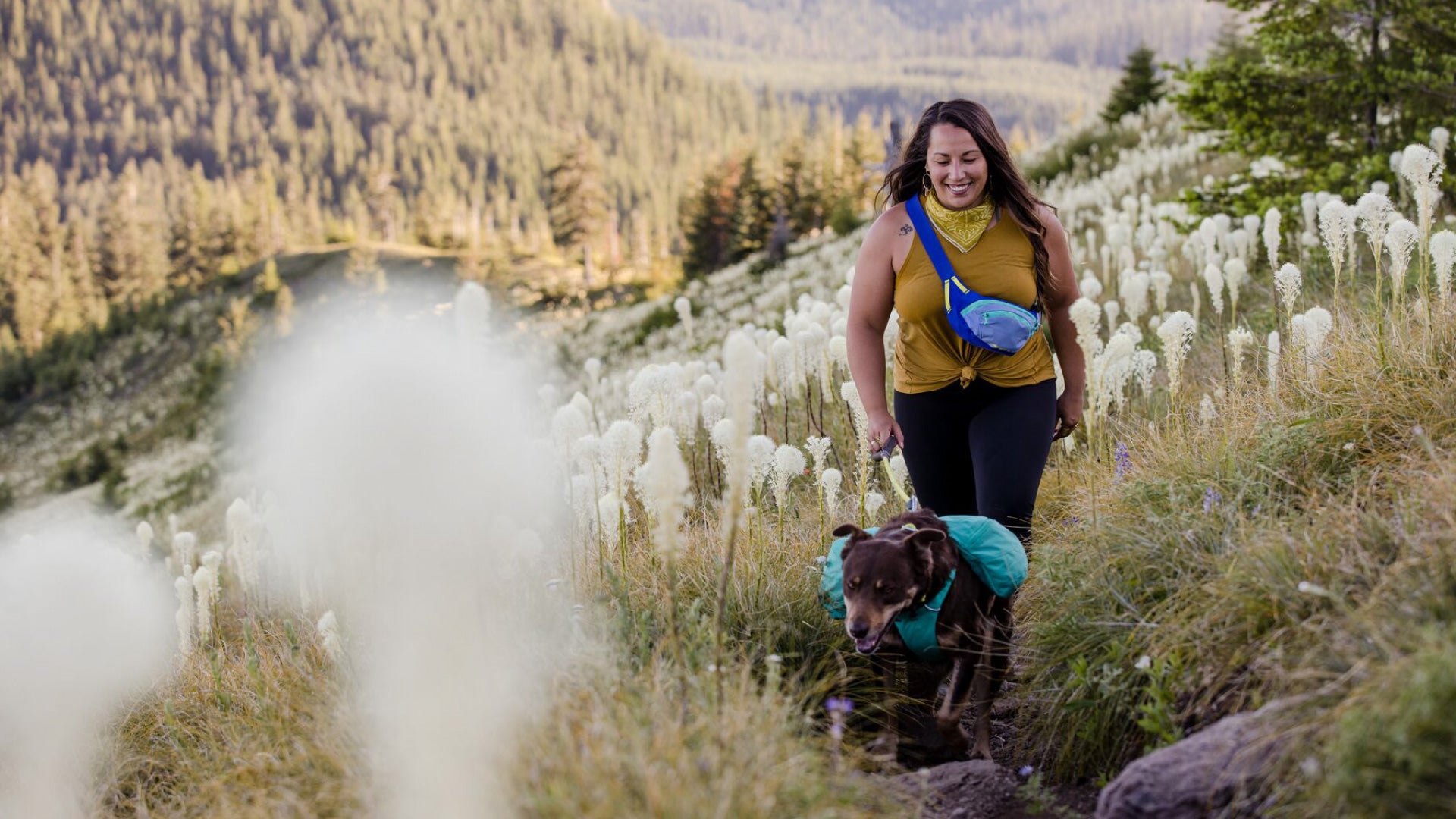 Home Trail Hip Pack Ruffwear