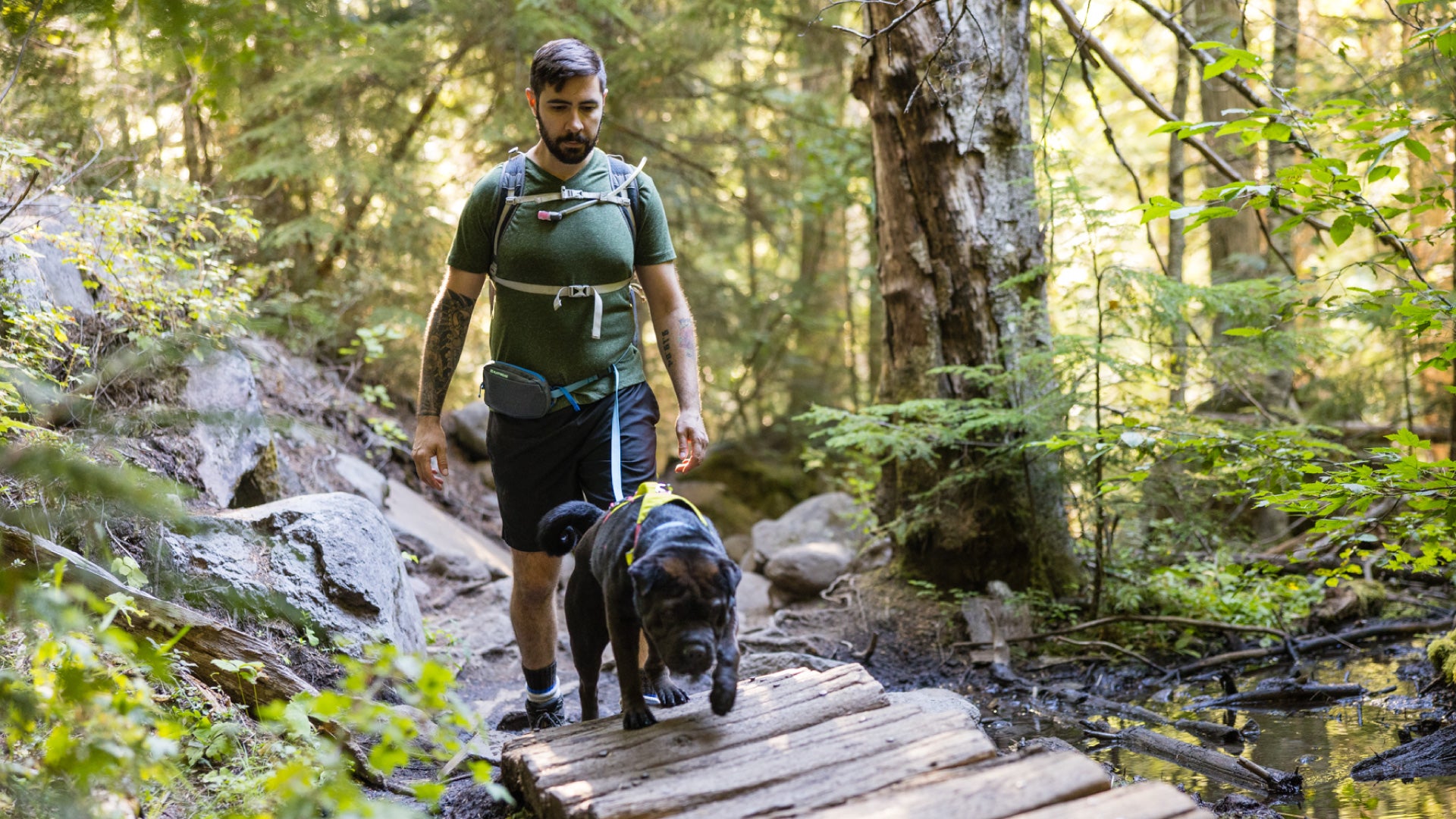 Stash Bag Plus Poop Bag Dispenser Ruffwear