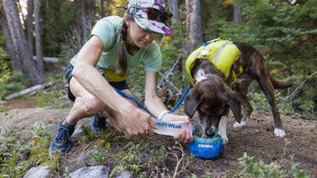 About the Trail Runner™ Dog Bowl Video Thumbnail