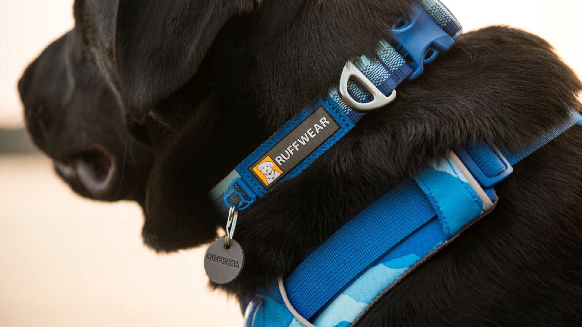 Ruffwear headwater clearance collar