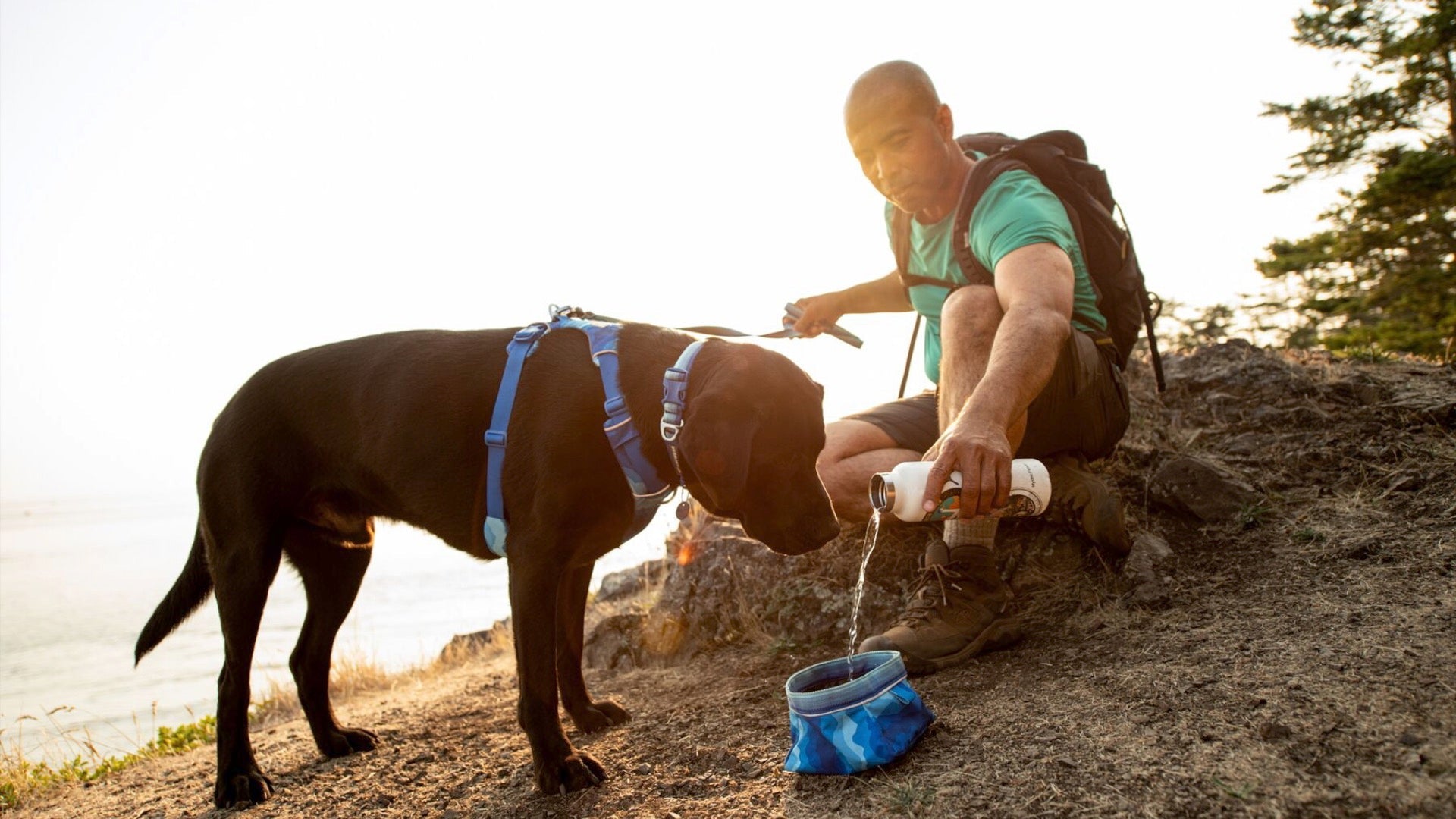 Quencher Packable Dog Bowl Ruffwear