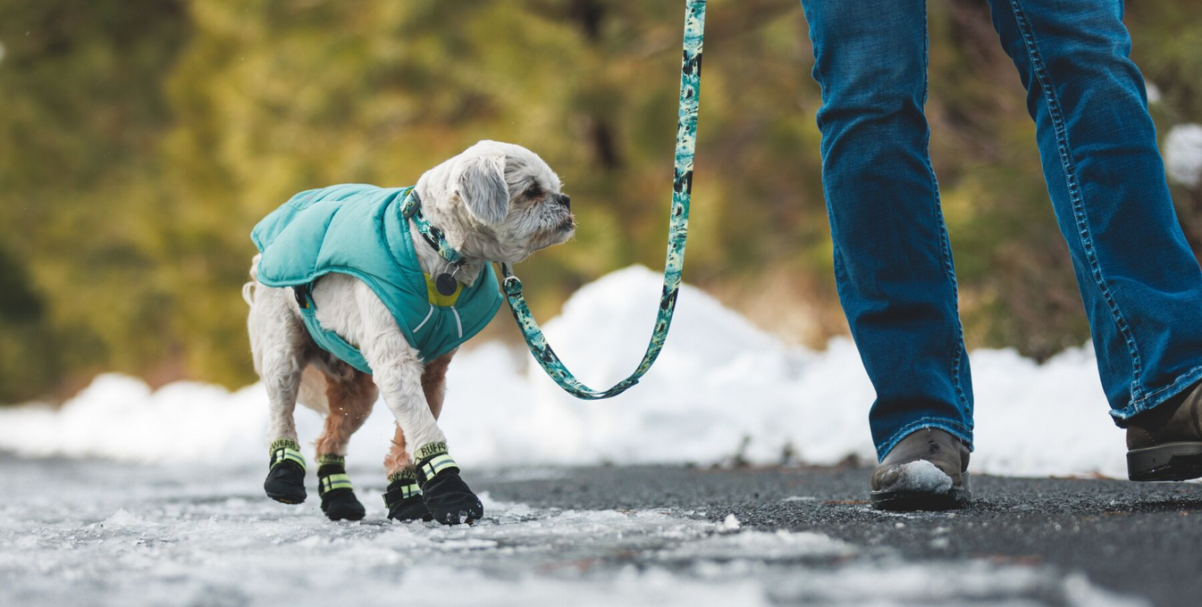 Outdoor Performance Dog Gear Ruffwear