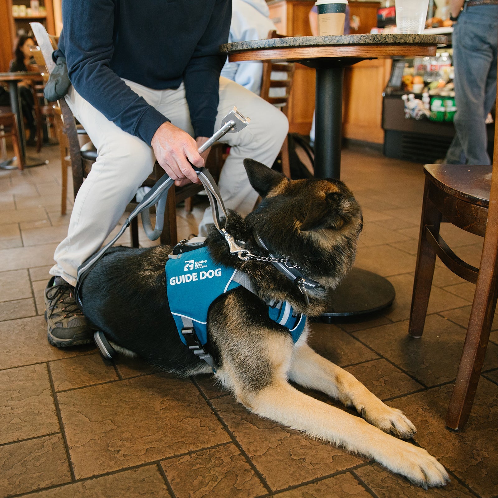 Ruffwear guide sale dog harness