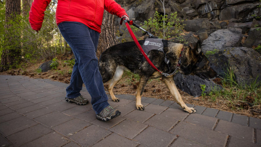 Chain Reaction Collar Ruffwear