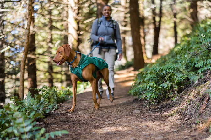 WOman and dog hike through forest.