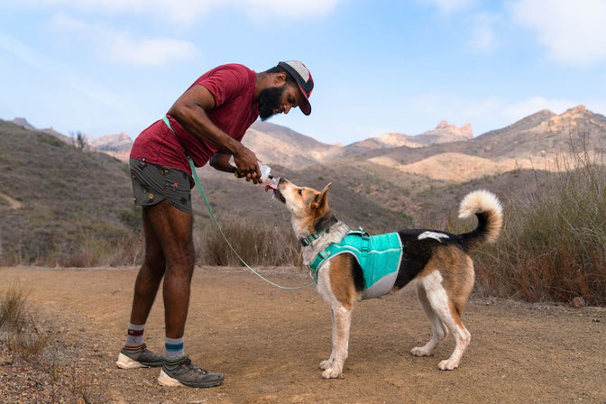 Marcus pours water into Batman's mouth while on a trail run.