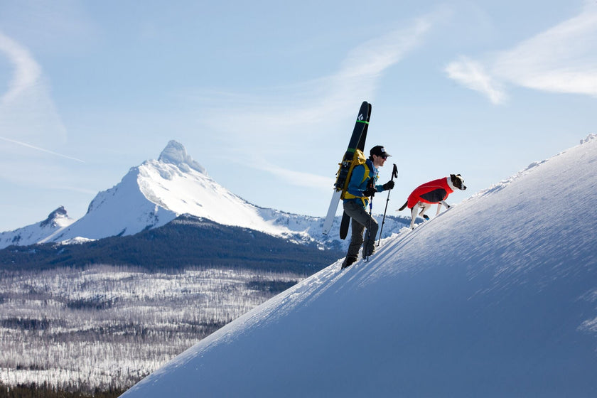 About: The Furness™ Dog Jacket Video Thumbnail