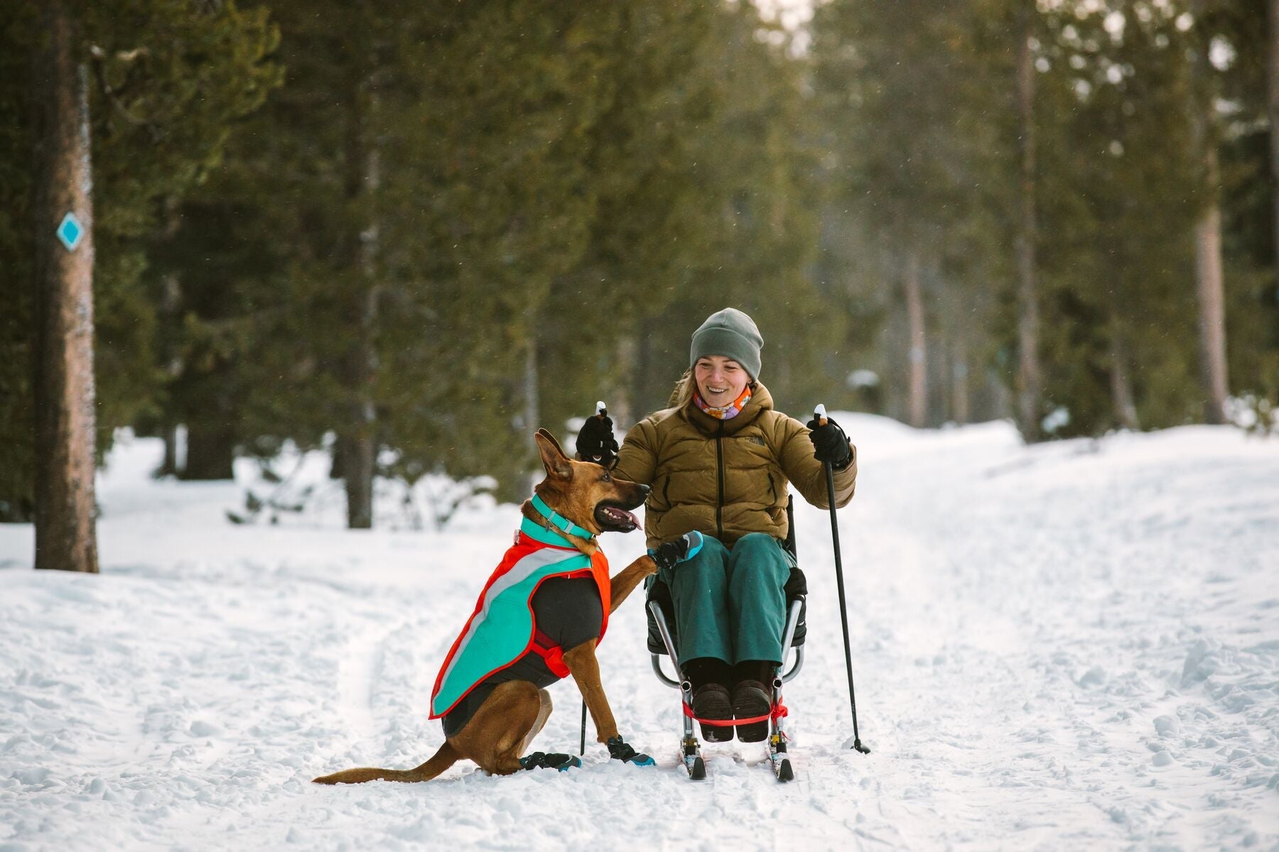 Snow jackets deals for dogs