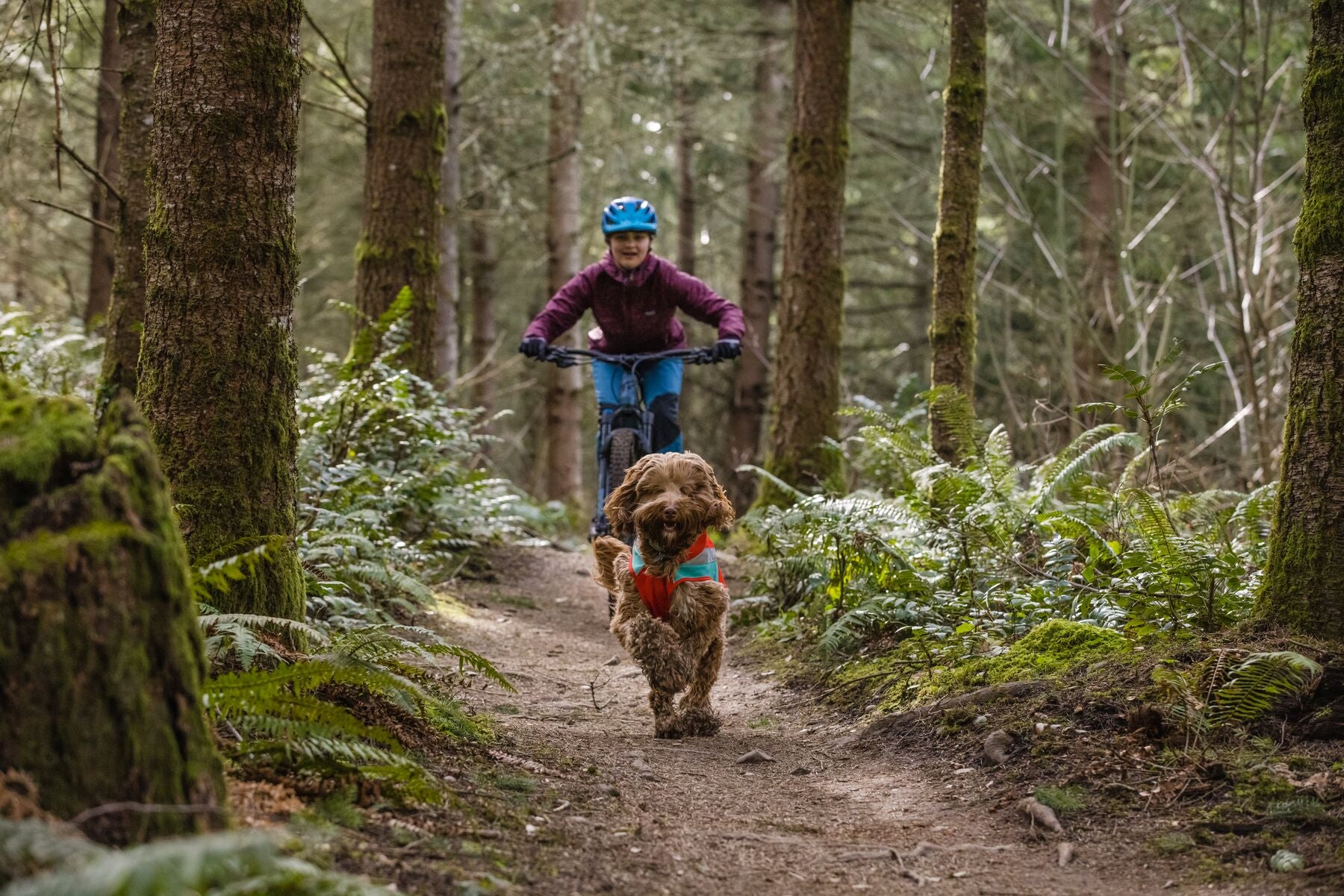 Sustainability Journey Ruffwear