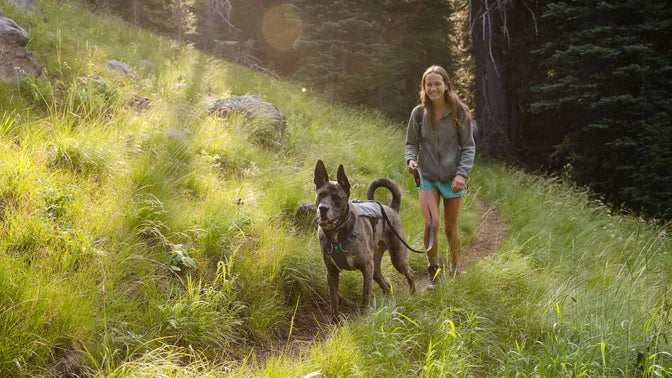Woman and great dane hike along grassy trail.