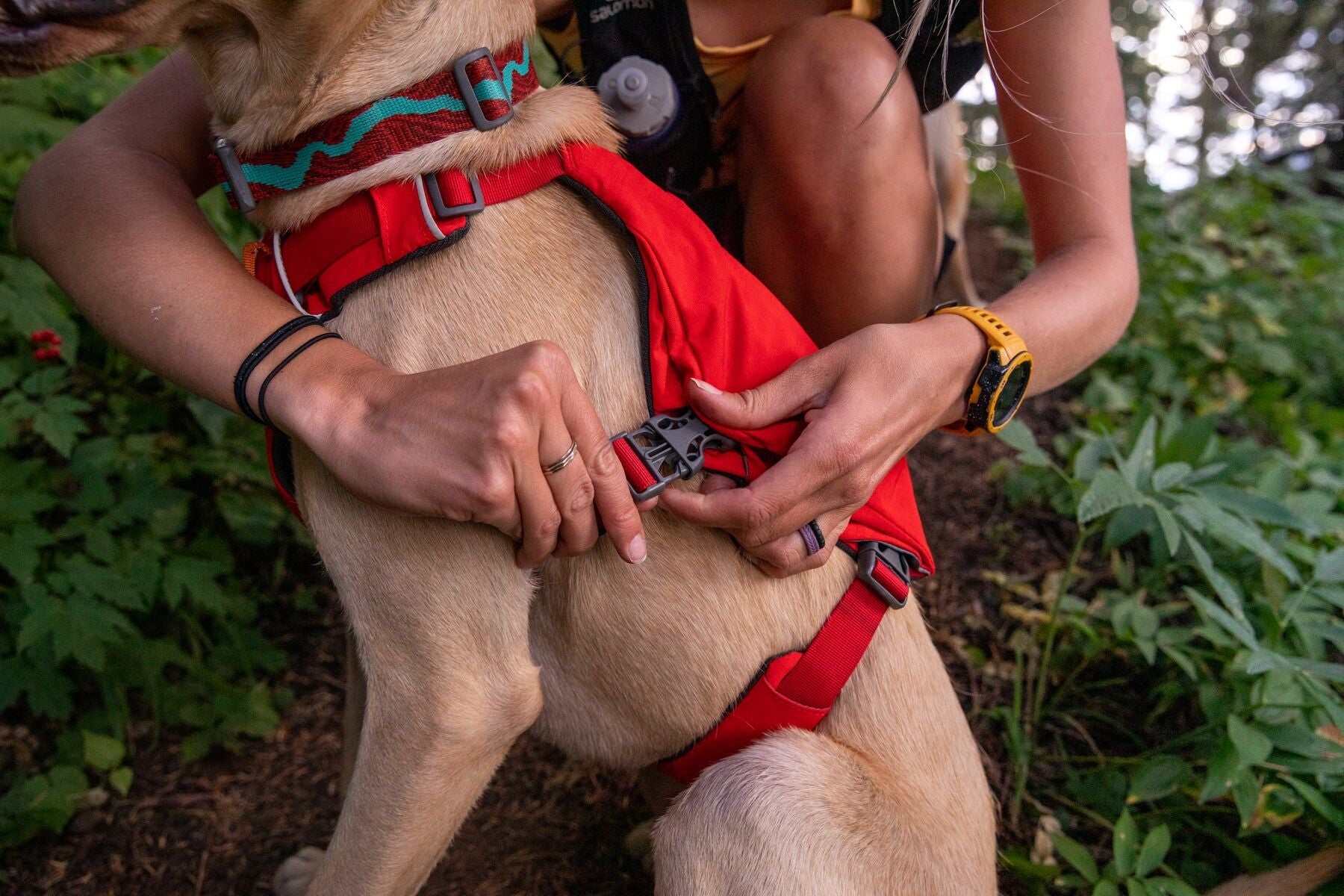 Ruffwear running outlet harness