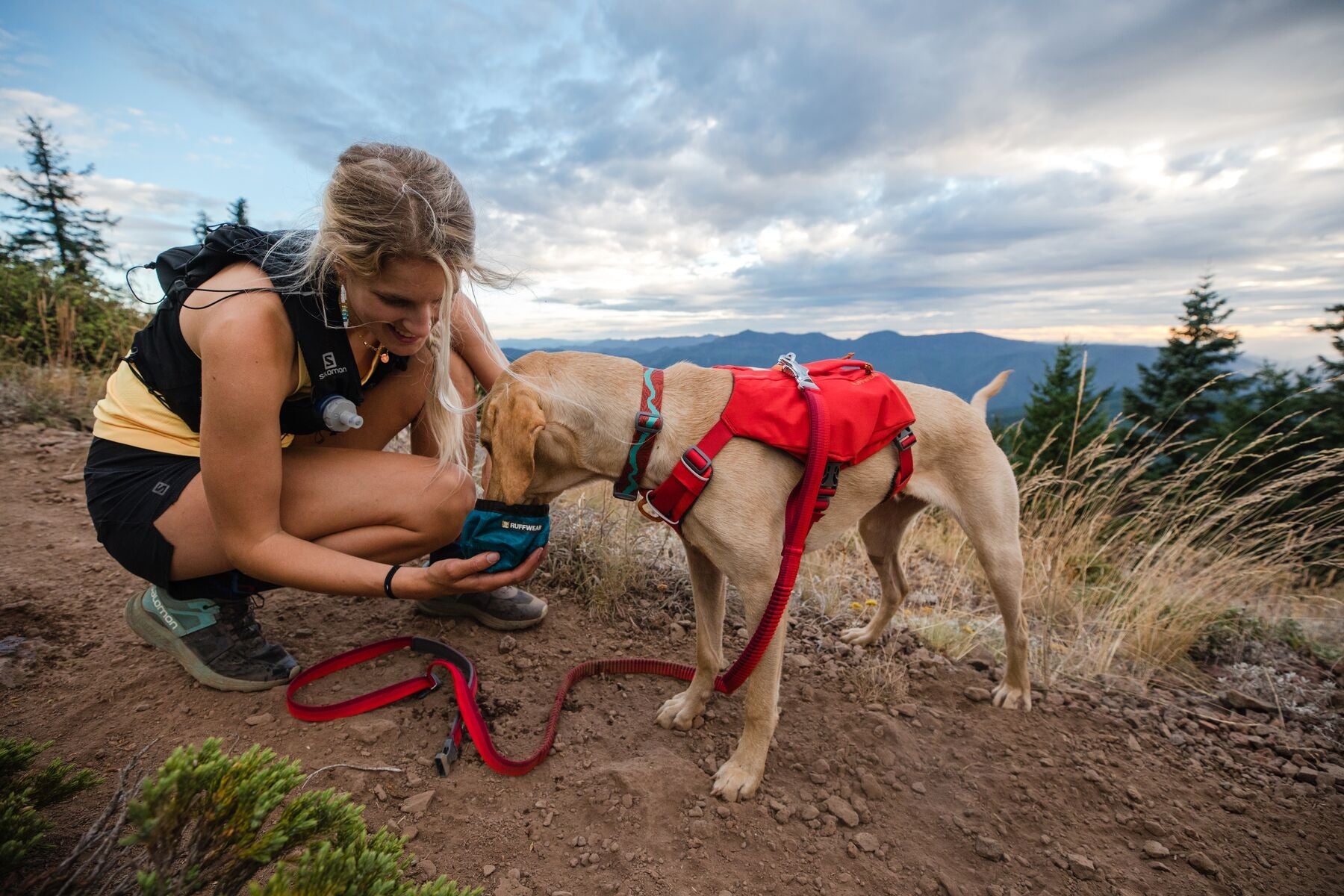 Flat Out Dog Collar Ruffwear