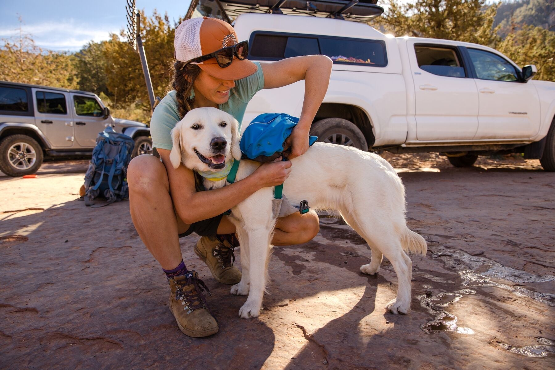 Approach Dog Backpack Pack for Dogs Ruffwear