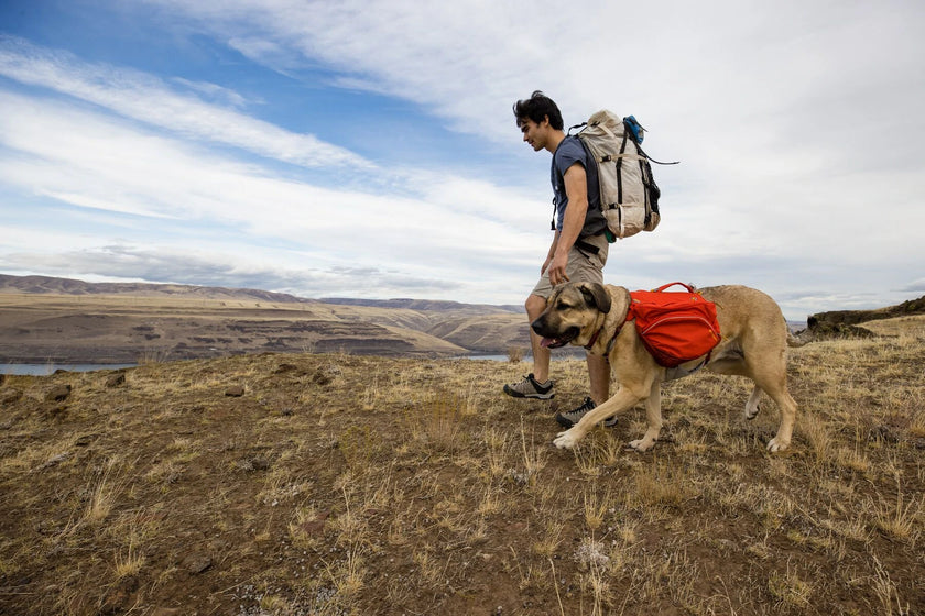 Ruffwear palisades deals review