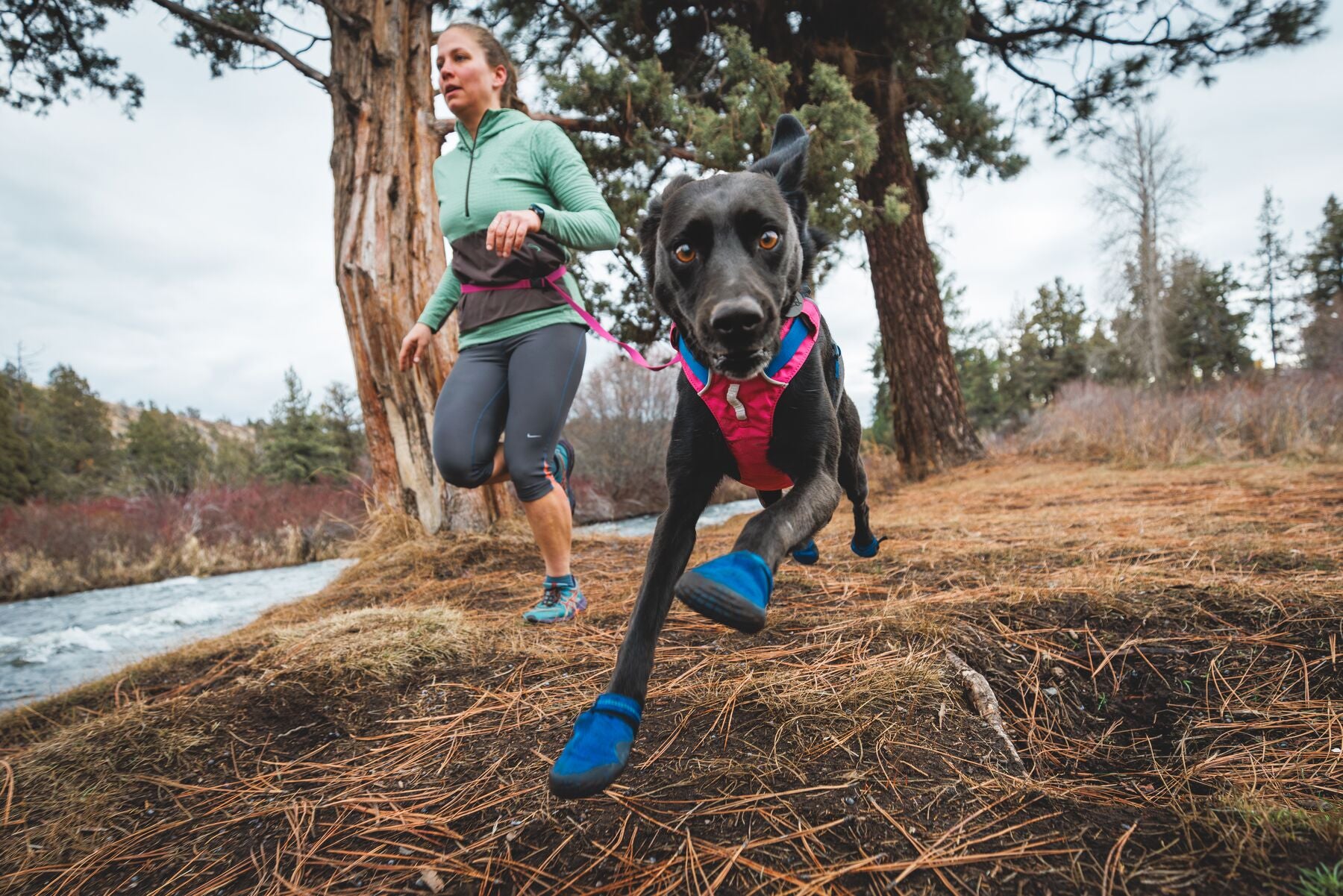 Go Hi Light Ruffwear