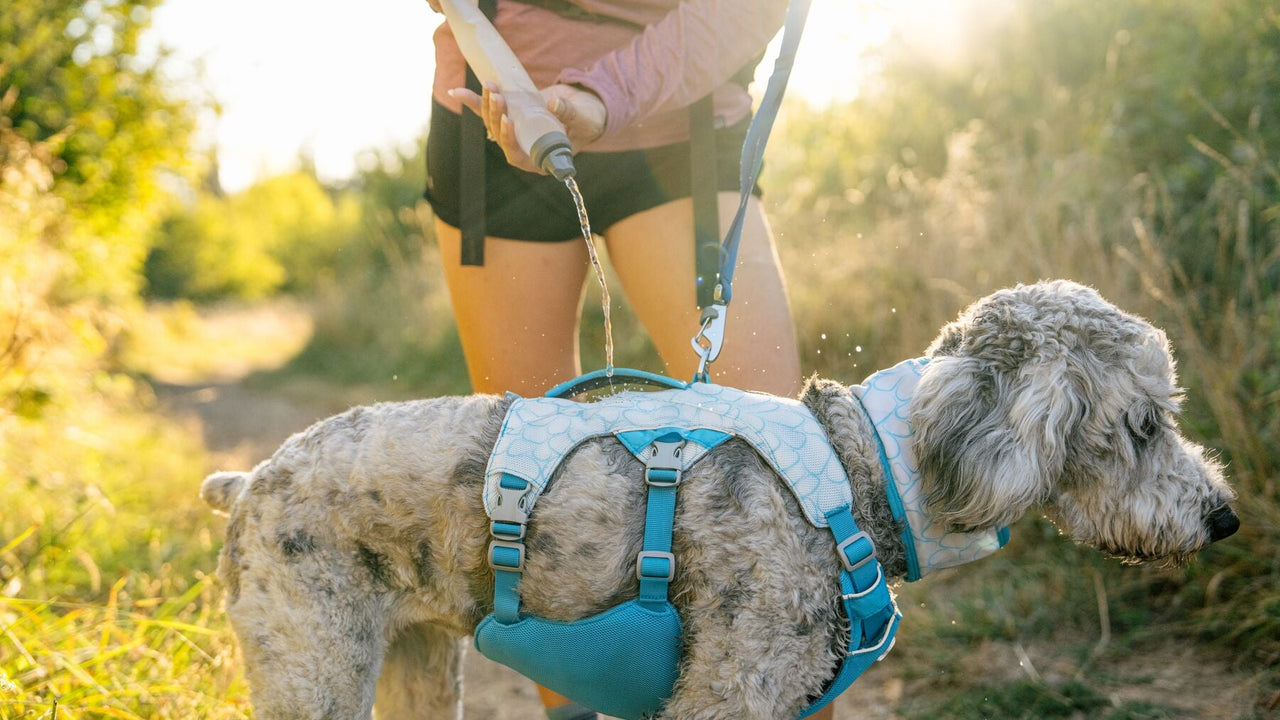 Three-Layer Construction