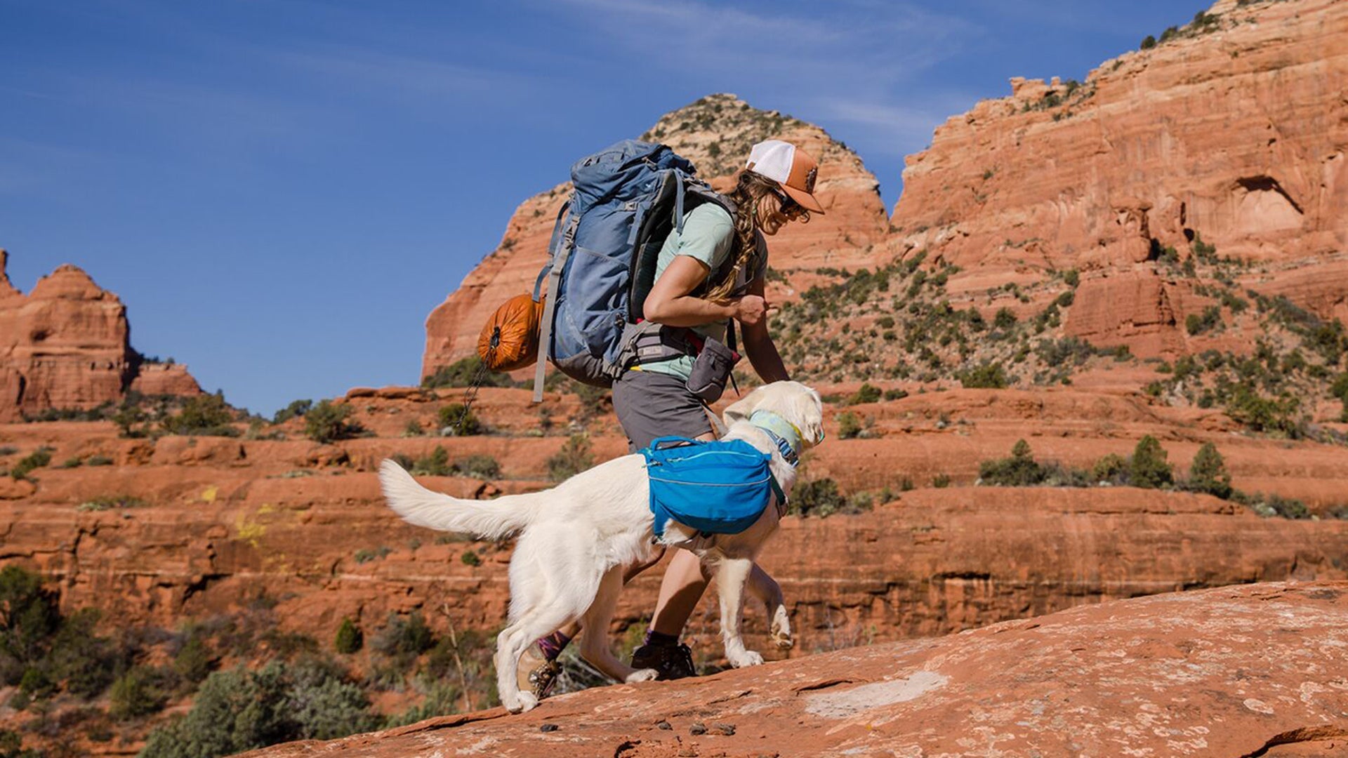 Approach Dog Backpack Pack for Dogs Ruffwear