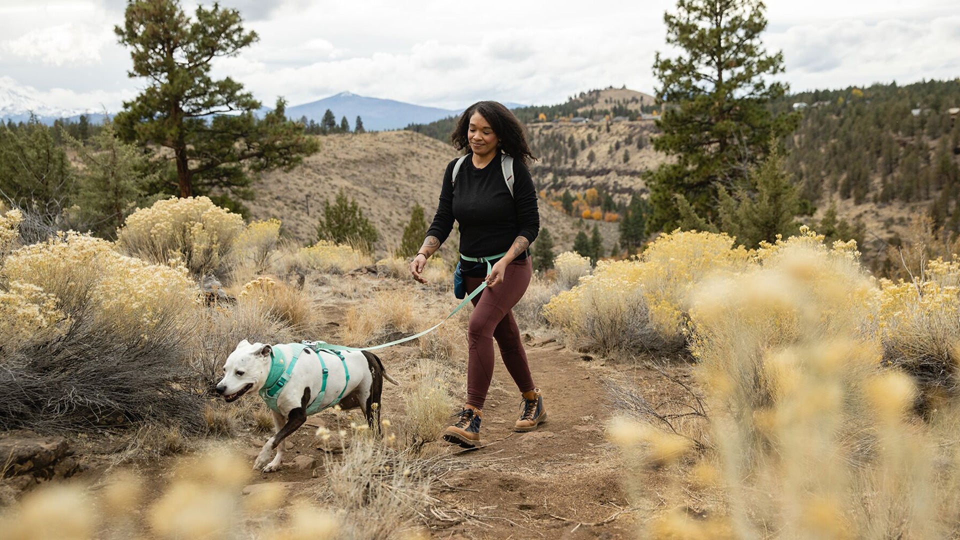 Flagline Dog Lead Hands Free Ultralight Ruffwear