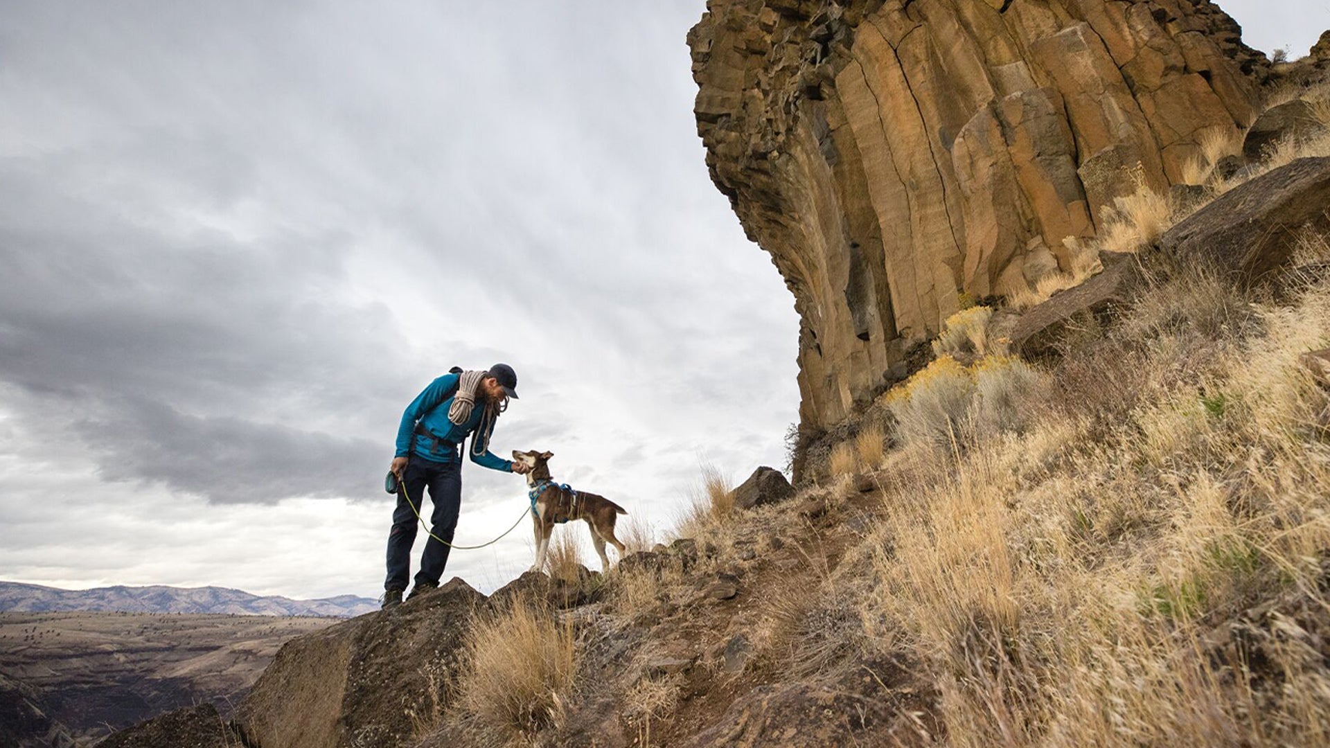 Hitch Hiker Dog Lead Ruffwear