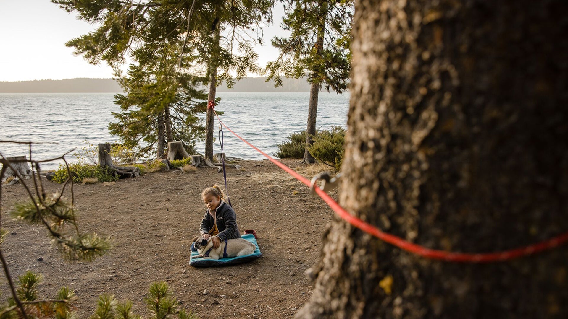 Knot a Hitch Dog Tether For Camping Ruffwear