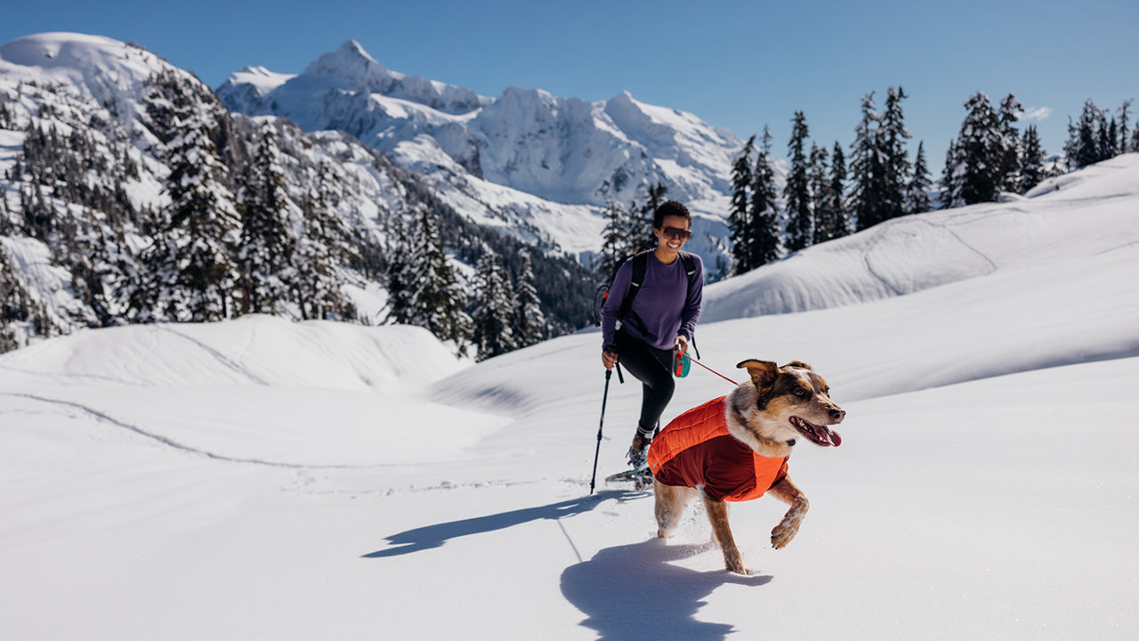 Ruffwear powder shop hound jacket