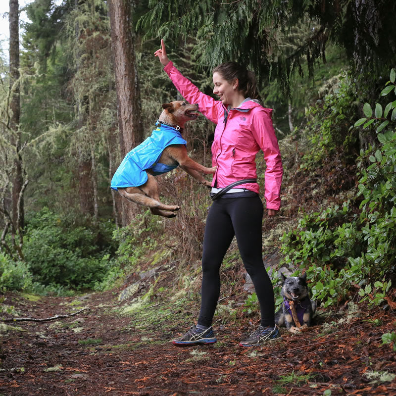 Dog in sun shower jumps up in the air for Alicia, who stands in front in raincoat on trail.