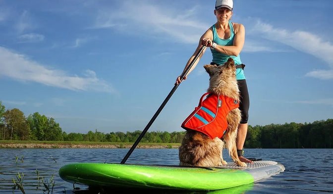 Maria and her dog SUP on a lake.