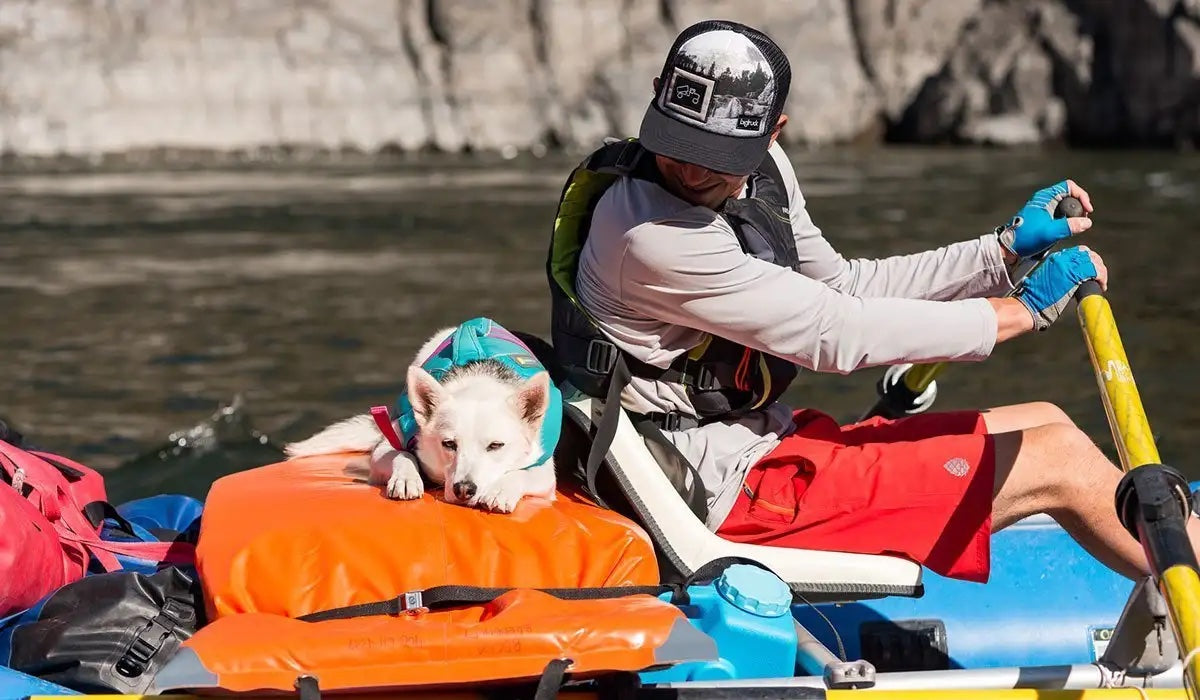 Dog Water Gear Paddling Water Sports with Dogs Ruffwear