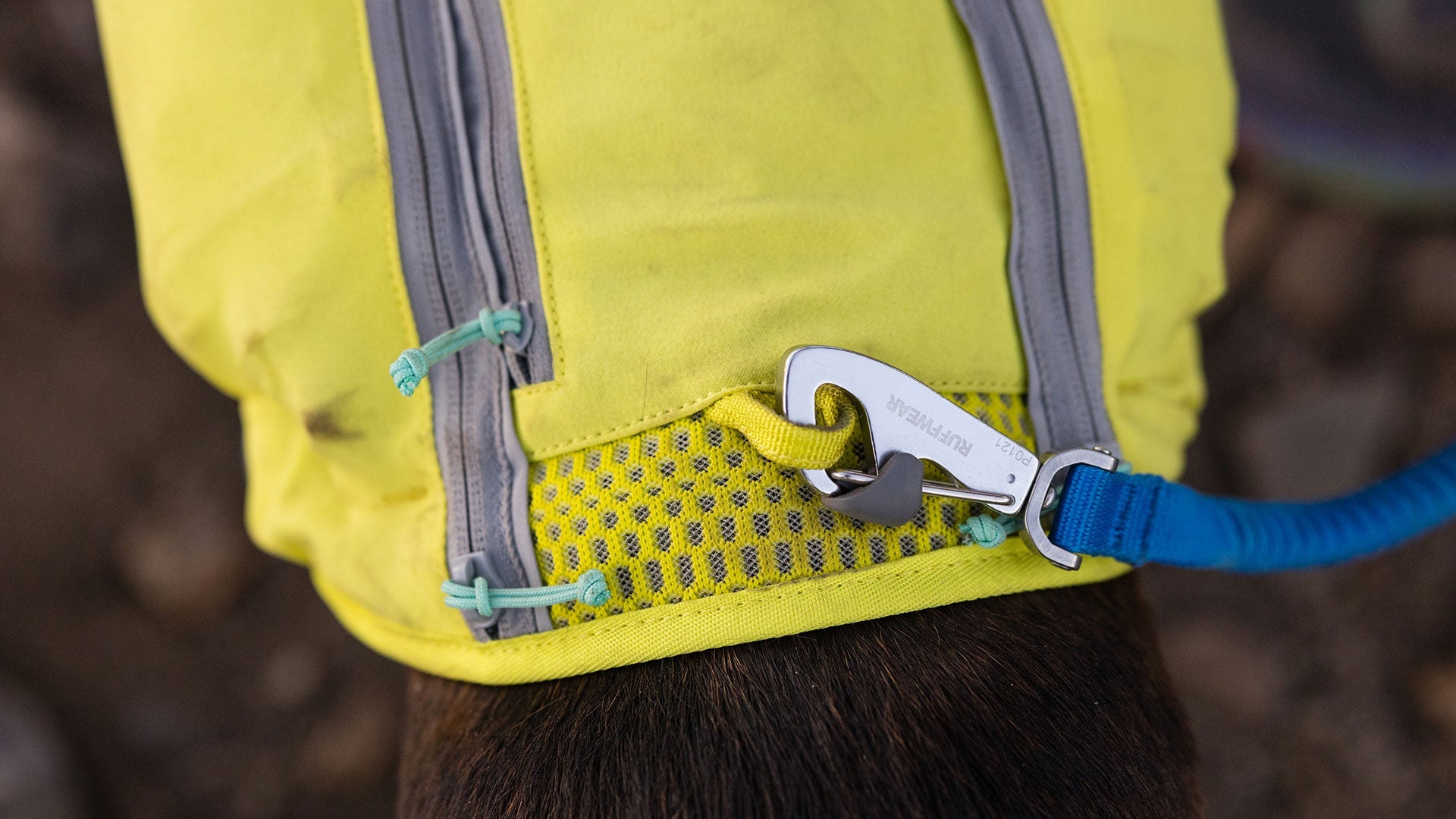 Trail Runner Dog Lead for Running Ruffwear