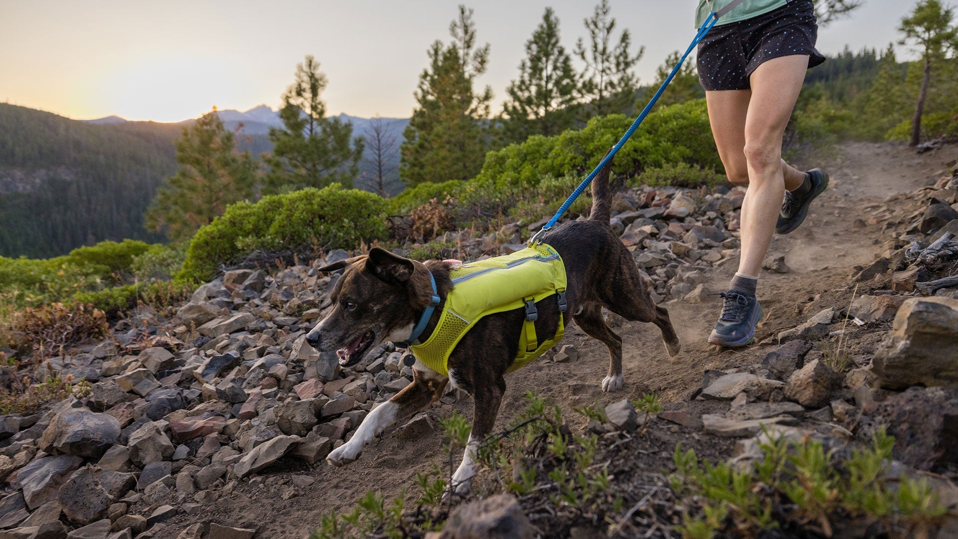 Ruffwear singletrak shop dog pack