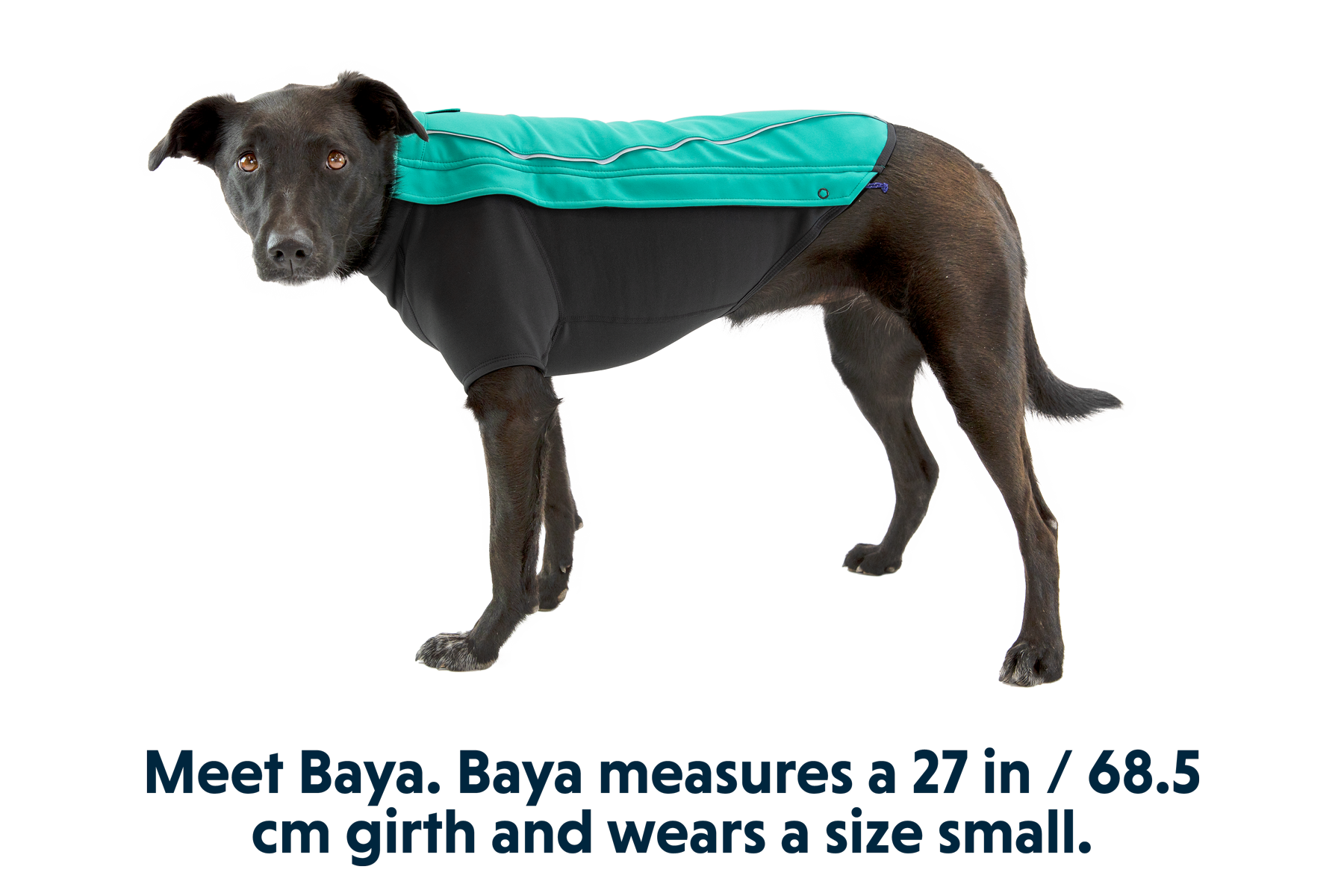 Ruffwear cloud hotsell chaser dog jacket
