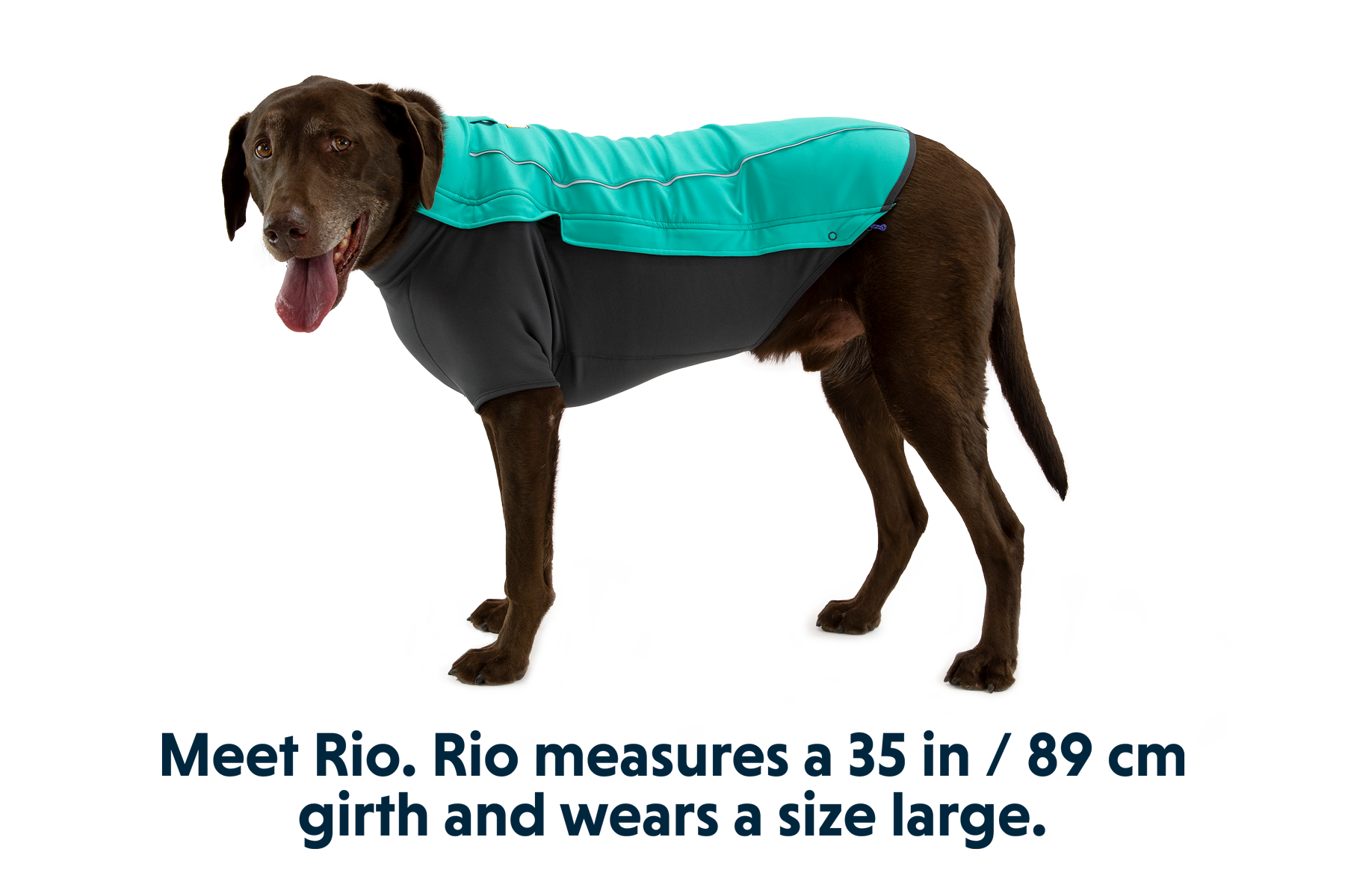 Ruffwear cloud outlet chaser jacket