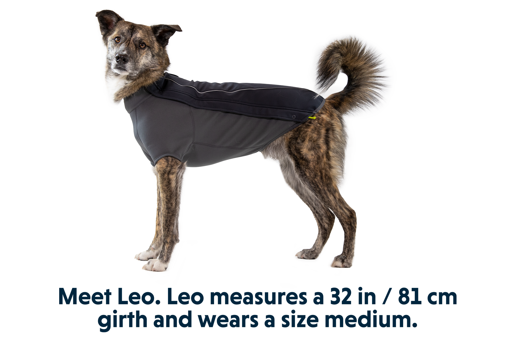 Ruffwear cloud chaser xs 2025